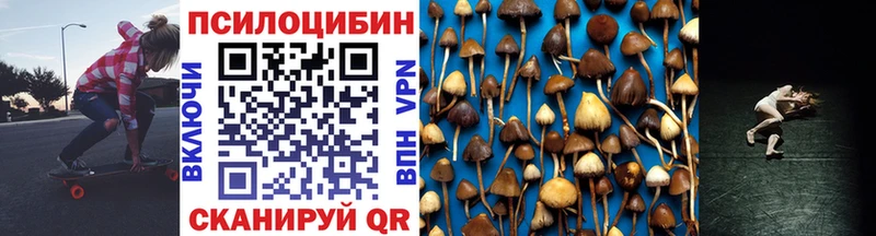 где найти   Горбатов  Псилоцибиновые грибы Psilocybe 