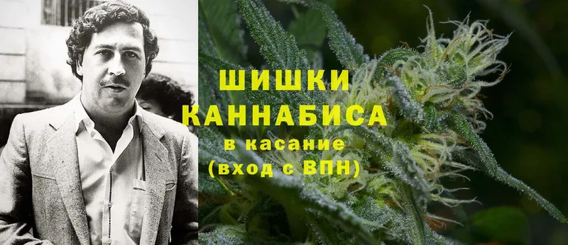 что такое   Горбатов  МАРИХУАНА SATIVA & INDICA 